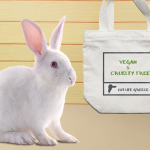 Cruelty Free VS Vegan