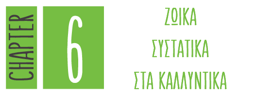 Τι κρύβεται πίσω από τις ονομασίες που δεν μπορούμε να κατανοήσουμε με την πρώτη ματιά;
